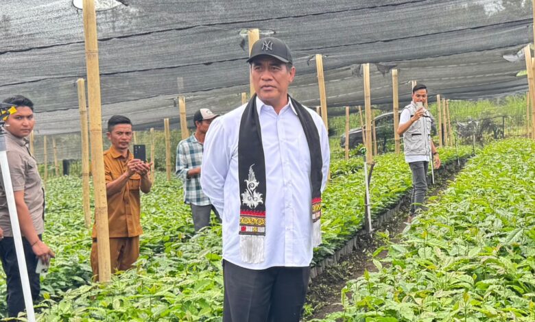 Sidak Perbenihan Kopi Gayo di Bener Meriah, Mentan Amran Bidik Ekspor Kopi Indonesia Tembus Rp100 Triliun Sidak Perbenihan Kopi Gayo di Bener Meriah, Mentan Amran Bidik Ekspor Kopi Indonesia Tembus Rp100 Triliun
