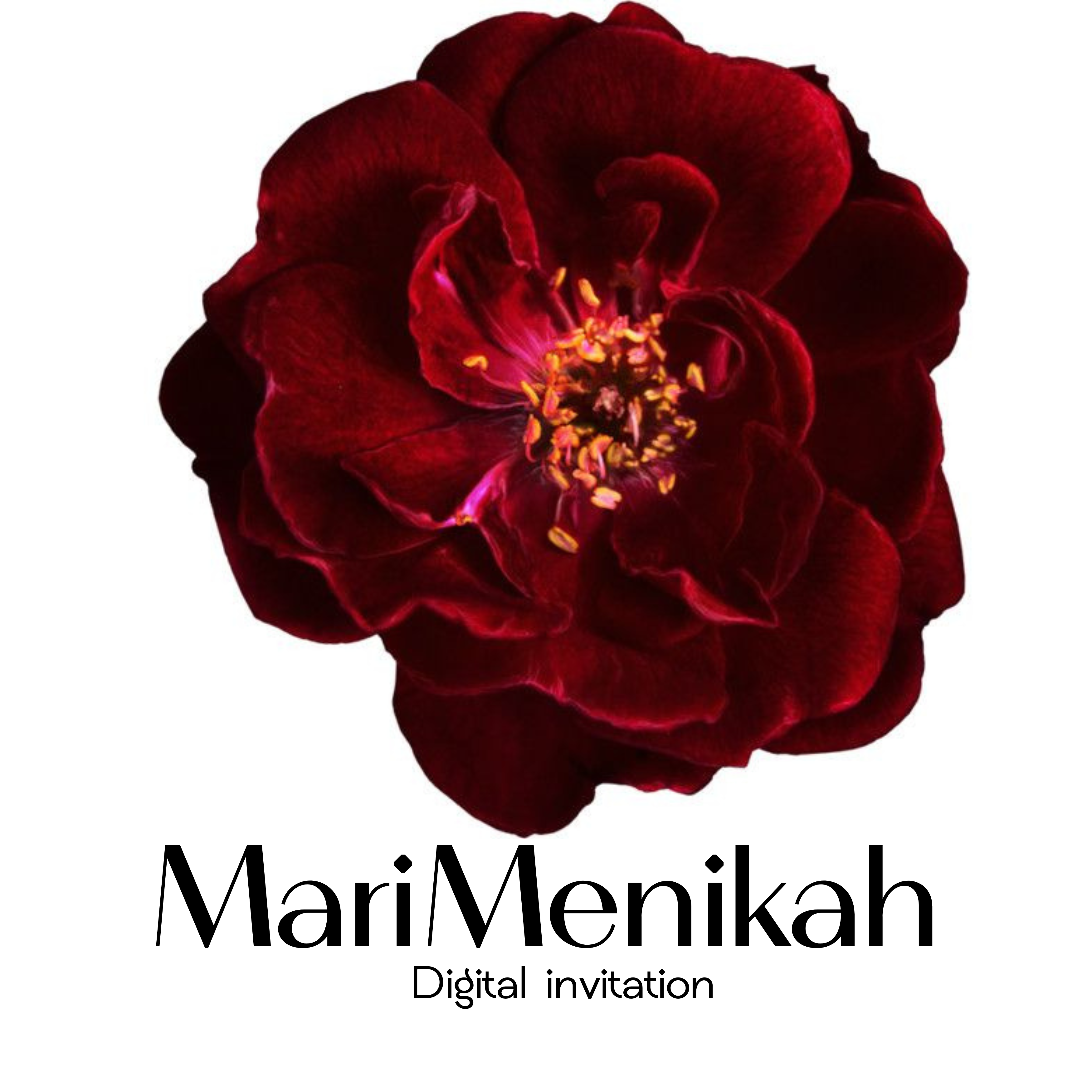 Mari Logo