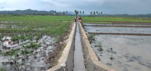 Proyek Pembangunan Irigasi Persawahan di Pekon Candiretno Terkesan Asal Jadi IMG 20211212 WA0037