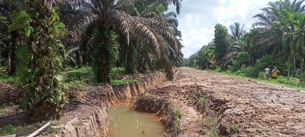 Tanaman diatas Tanah dirusak Oknum Pengelola Proyek pembangunan Irigasi, Pemilik Lahan Lapor Batara WhatsApp Image 2023 05 18 at 20 54 46