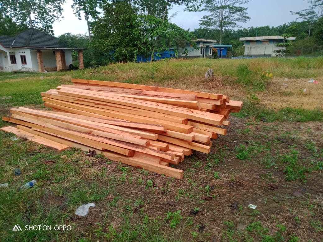 Aspek pidana Dalam Penebangan pohon tampa izin Aspek pidana Dalam Penebangan pohon tampa izin