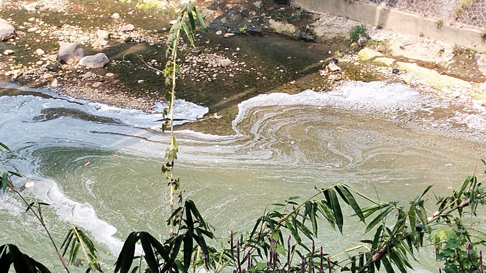 Sungai Cianten Diduga Tercemar Limbah Industri, Camat Cibungbulang Kami akan Kroscek dulu