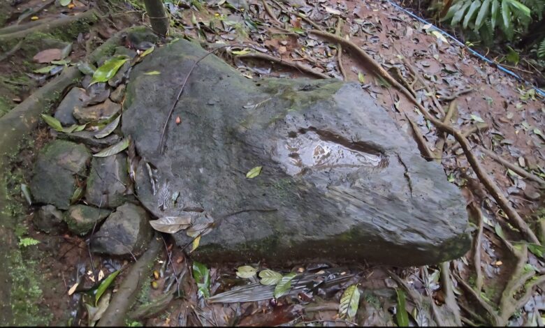 Telapak Kaki Misterius Sanghyang Tapak di Gunung Salak, Diyakini Peninggalan Prabu Niskala Wastukancana Telapak Kaki Misterius Sanghyang Tapak di Gunung Salak, Diyakini Peninggalan Prabu Niskala Wastukancana