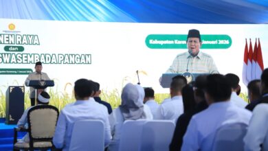 Jaro Ade Hadiri Panen Raya dan Pengumuman Swasembada Pangan di Karawang