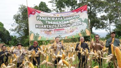 Ikuti Panen Raya Jagung Serentak, Kabupaten Bogor Dukung Penguatan Ketahanan Pangan Nasional