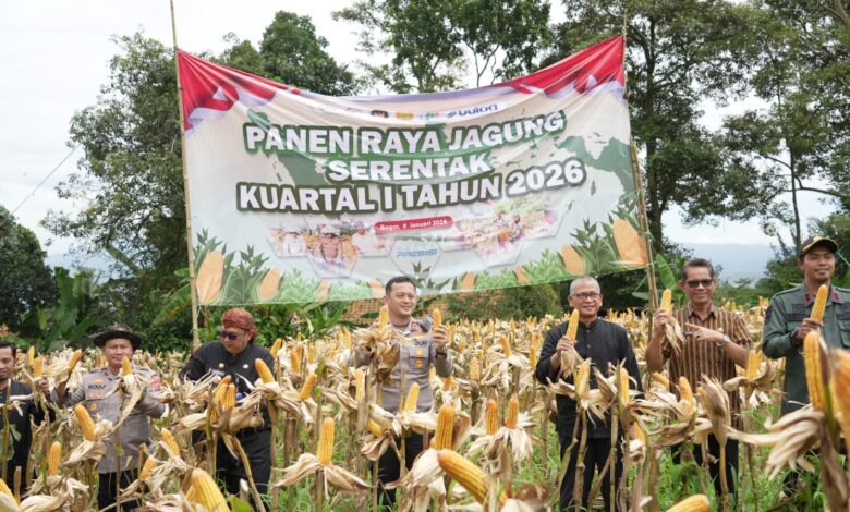 Ikuti Panen Raya Jagung Serentak, Kabupaten Bogor Dukung Penguatan Ketahanan Pangan Nasional Ikuti Panen Raya Jagung Serentak, Kabupaten Bogor Dukung Penguatan Ketahanan Pangan Nasional