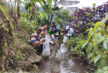 Tebar 4000 Bibit Ikan di Hulu Sungai Cipurabakti, Kolaborasi Komunitas dan Instansi Dorong Pelestarian Lingkungan