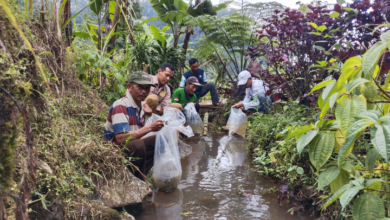 Tebar 4000 Bibit Ikan di Hulu Sungai Cipurabakti, Kolaborasi Komunitas dan Instansi Dorong Pelestarian Lingkungan