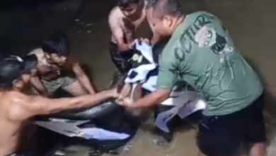 Banjir Rendam Sejumlah Wilayah Bogor Barat, Warga Cigudeg Butuh Pertolongan