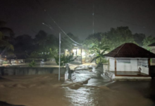 Dari Cigudeg untuk Bogor: Kritik Keras atas Lambannya Layanan Saat Bencana
