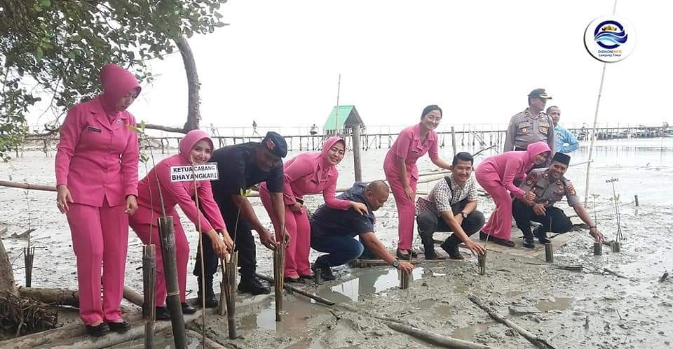 FB IMG 1578724539527