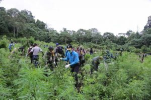 whatsapp image 2020 07 29 at 4.01 .18 pm 1080x720 1