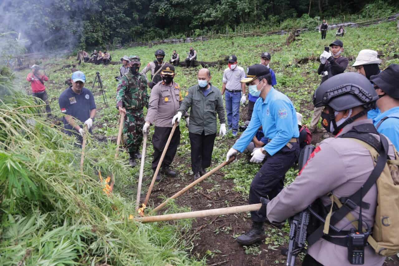 whatsapp image 2020 07 29 at 4.01 .51 pm