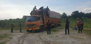 2bad77e1 d0d0 4f55 a07a c4251ab18b9d 768x373 1