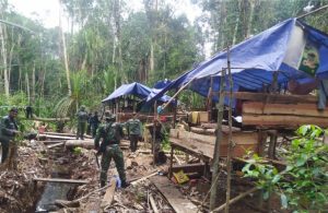 Gakkum KLHK dan Tim Gabungan Gerebek Lokasi Pembalakan Liar di Muaro Jambi 20200911 202219