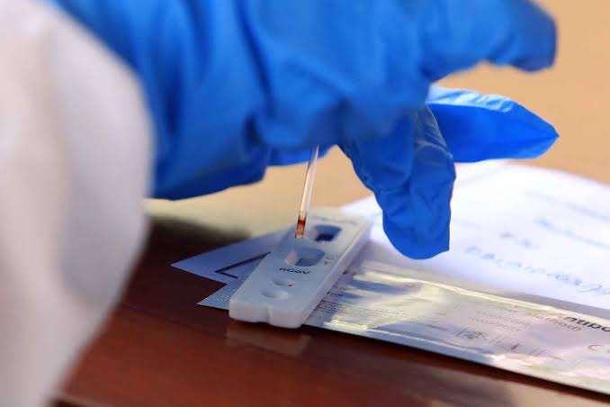 6C66782A 0B2C 44F2 AF59 B7654D1A201E