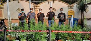 Satresnarkoba Polres Jakbar Grebek Tempat Penanaman Pohon Ganja Sistem Hidroponik di Brebes IMG 20210606 WA0086