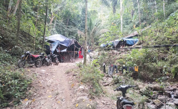 Screenshot 20240725 132215 WhatsApp