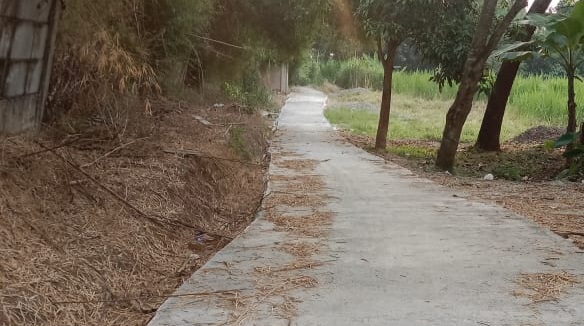 Pembangunan Rabat Beton Site Mix Desa Sindangheula Diduga Tidak Sesuai RAB