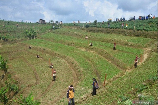 IMG-20241028-WA0017 Pemulihan Lahan Kritis untuk Ketahanan Pangan di Provinsi Banten