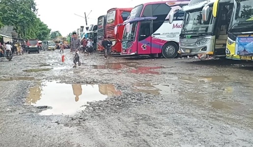 Screenshot 20250209 183323 Gallery