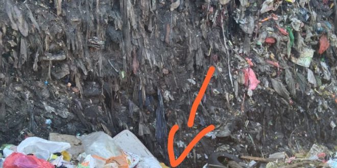 Warga Kota Makassar Digegerkan dengan Kematian Seorang Pemulung yang Tertimbun Sampah 08E09F58 18FF 4022 B7BC 6FE407DFFB09 660x330 1