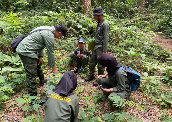 Menghadapi Musim Kemarau Panjang Resort Situgunung TNGGP Lakukan Deteksi Dini Antisipasi Kebakaran Hutan dan Lahan Menghadapi Musim Kemarau Panjang Resort Situgunung TNGGP Lakukan Deteksi Dini Antisipasi Kebakaran Hutan dan Lahan