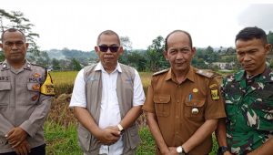 Bukti Realisasi Serap Gabah Dari Petani, Bulog Cianjur Gelar Penyerapan Gabah di Kecamatan Kadudampit