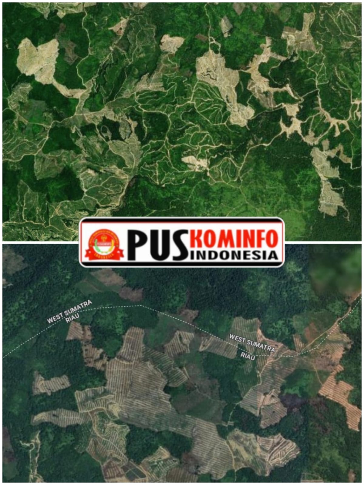 Mafia Perusakan Hutan Kian Menggurita, Polda Riau Tangkap Oknum Perangkat Desa dan ASN