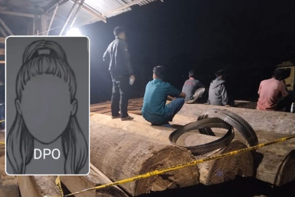 “Lina”, Bos Sawmill Ilegal di Teratak Buluh Masih Bebas, APH Dinilai Tutup Mata