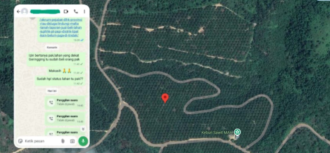 Oknum Pejabat DLHK Riau Diduga Tanami Sawit Dan Menjual Konsesi PT PSPI Di Desa Sungai Geringging Oknum Pejabat DLHK Riau Diduga Tanami Sawit Dan Menjual Konsesi PT PSPI Di Desa Sungai Geringging