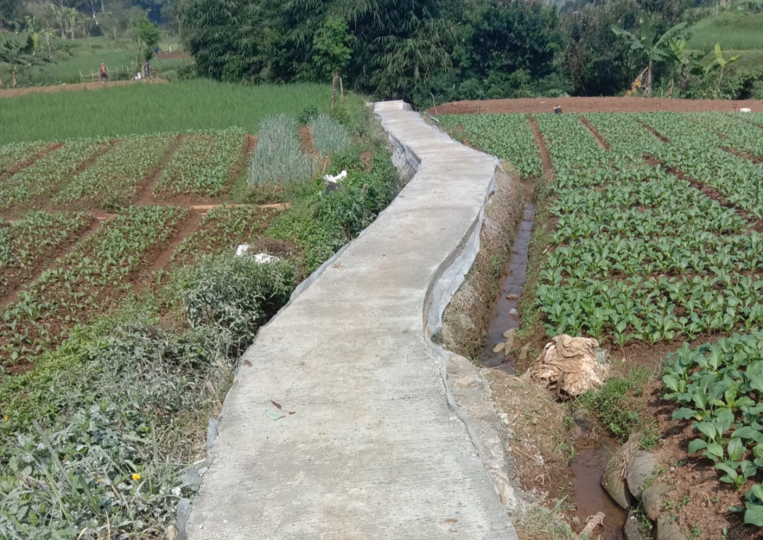 Tingkatkan Ekonomi Petani, Pemdes Sukamanis Bangun Rabat Beton Dan TPT Di PerKebunan