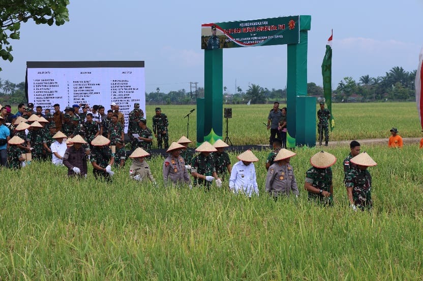 Wujud Aksi Nyata Dukung Ketahanan Pangan Nasional, TNI Berikan Bantuan Kepada Poktan