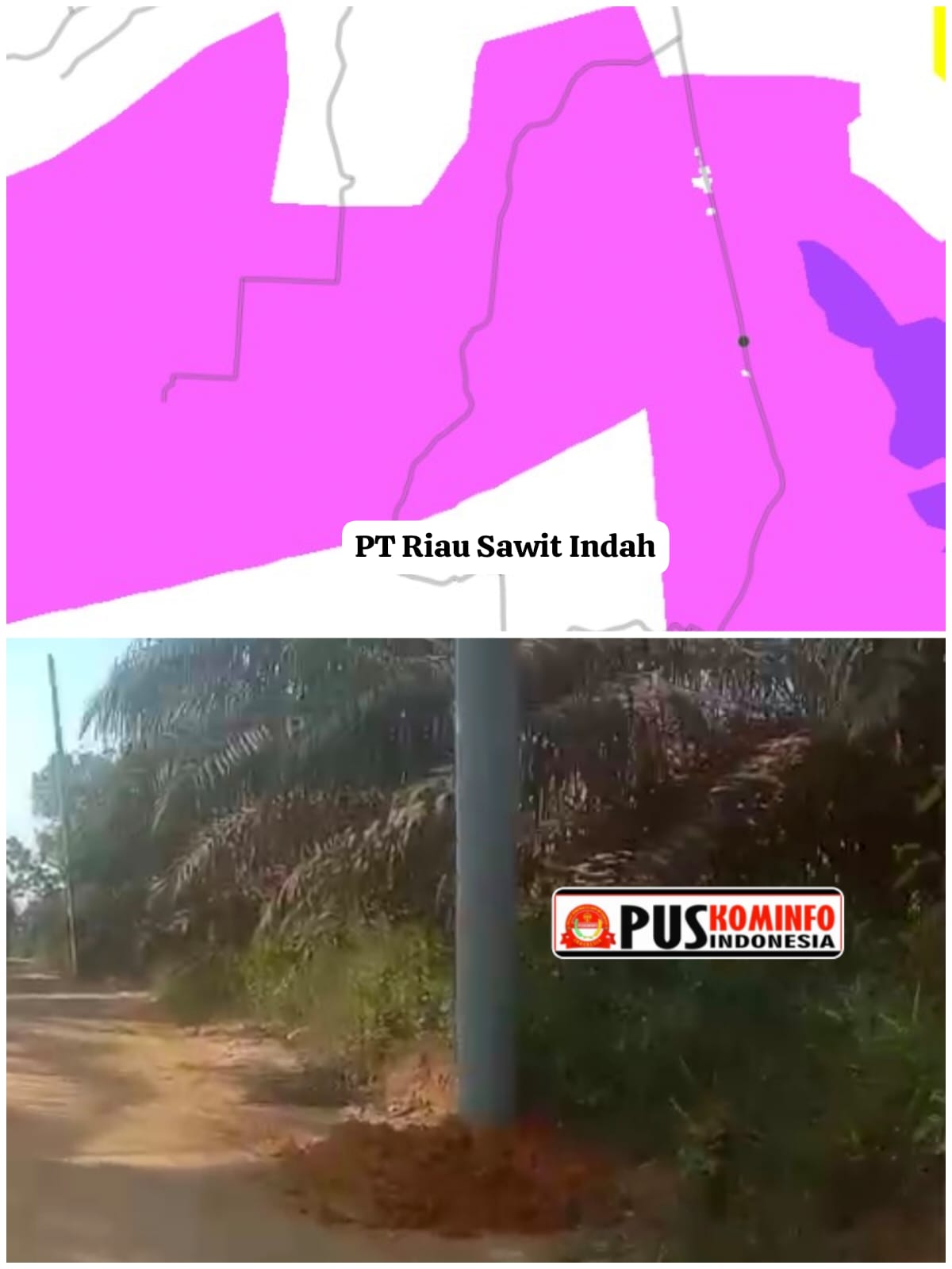 Warga Kuntu Darussalam Keberatan Pemasangan Tiang Listrik PT Riau Sawit Indah, Diduga Langgar Aturan Kawasan Hutan