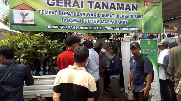 Dinas TPHPB Kabupaten Bogor Bagikan 300 Bibit Buah di Kecamatan Nanggung