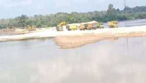 Diduga Quarry Illegal Milik HSN Bebas Beroperasi Di Desa Domo Kampar Kiri Diduga Quarry Illegal Milik HSN Bebas Beroperasi Di Desa Domo Kampar Kiri
