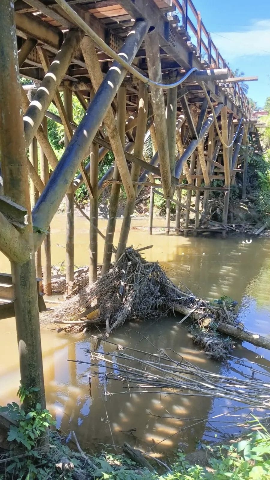 Gawat,,!!! Jembatan Penghubung Desa Lubuk Agung Ke Desa Sungai Sarik Sudah Mulai Ambruk