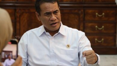 Kementan, Bapanas dan Satgas Pangan Bergerak Telusuri Dugaan Mafia Beras Fortifikasi