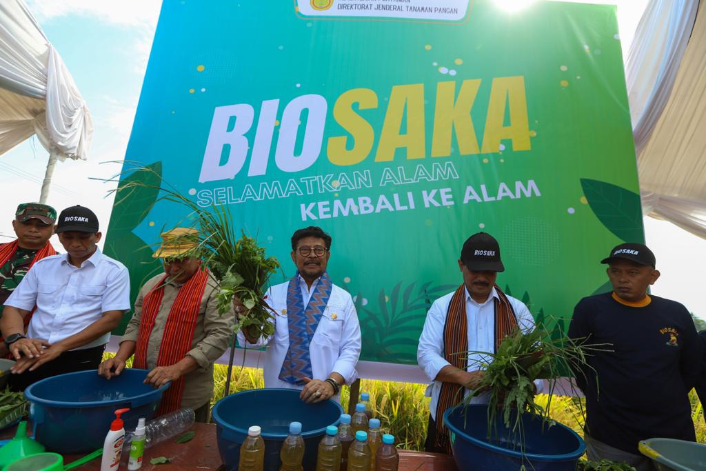 Pastikan Beras Aman, Mentan SYL Panen Padi dan Demonstrasikan Biosaka di Maro