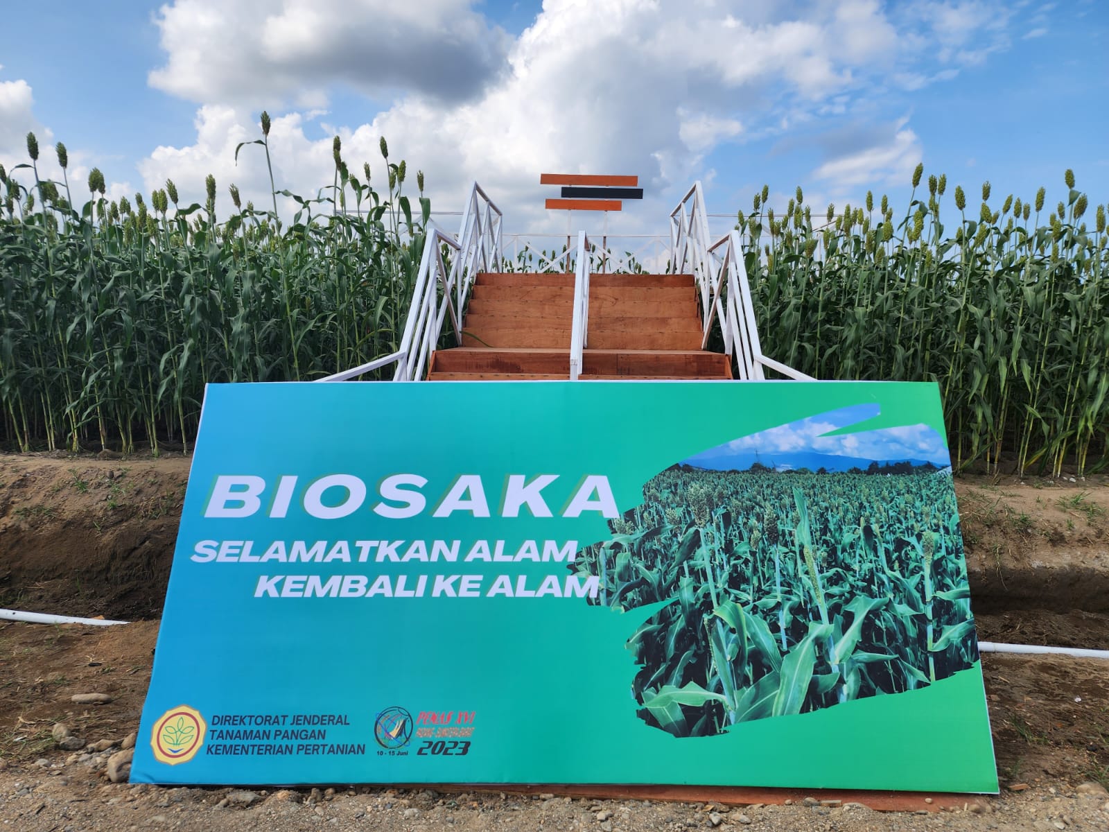 Tak Hanya Perbanyak Produksi, Guru Besar ITB Sebut Biosaka Lebih Hemat Biaya