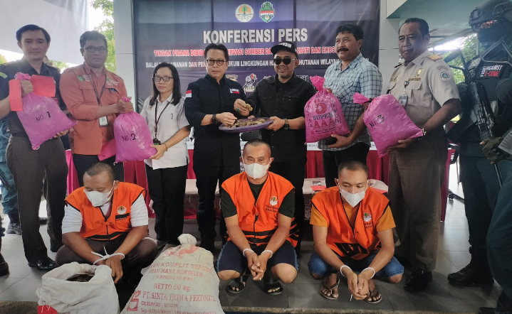 Gakkum KLHK dan Tim Gabungan Tangkap 3 Orang Tersangka dan Sita 57 Kg Sisik Trenggiling Gakkum KLHK dan Tim Gabungan Tangkap 3 Orang Tersangka dan Sita 57 Kg Sisik Trenggiling