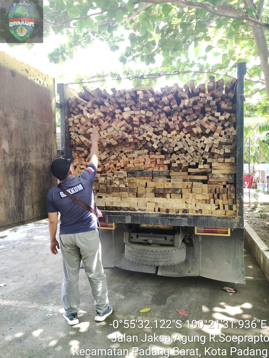 Gakkum KLHK Tangkap Pelaku Illegal Logging di Sumatera Barat Gakkum KLHK Tangkap Pelaku Illegal Logging di Sumatera Barat