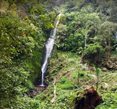 Curug Cakrabuana, Curug yang Airnya Memberikan Efek Rileksasi