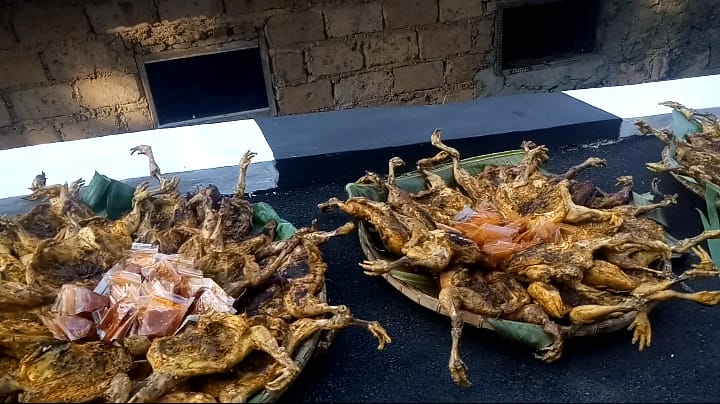 Bupati Bogor di Sambut Ratusan Ayam Bakakak Saat Saba Desa ke Desa Karyasari