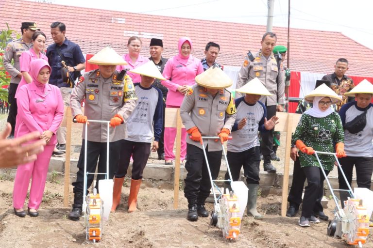 ccf287e0-9eff-4aaa-81a2-3ada68a3d822