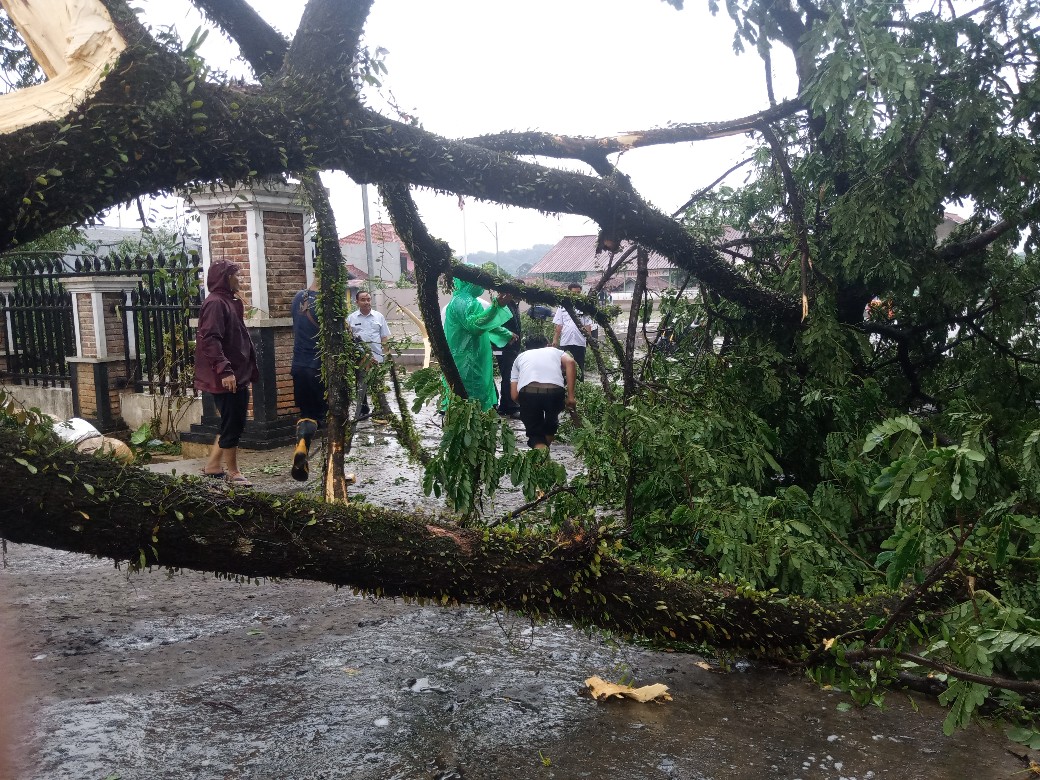 Hujan Disertai Angin Kencang Membuat Ranting Pohon Patah di Depan Kantor Kecamatan Leuwiliang