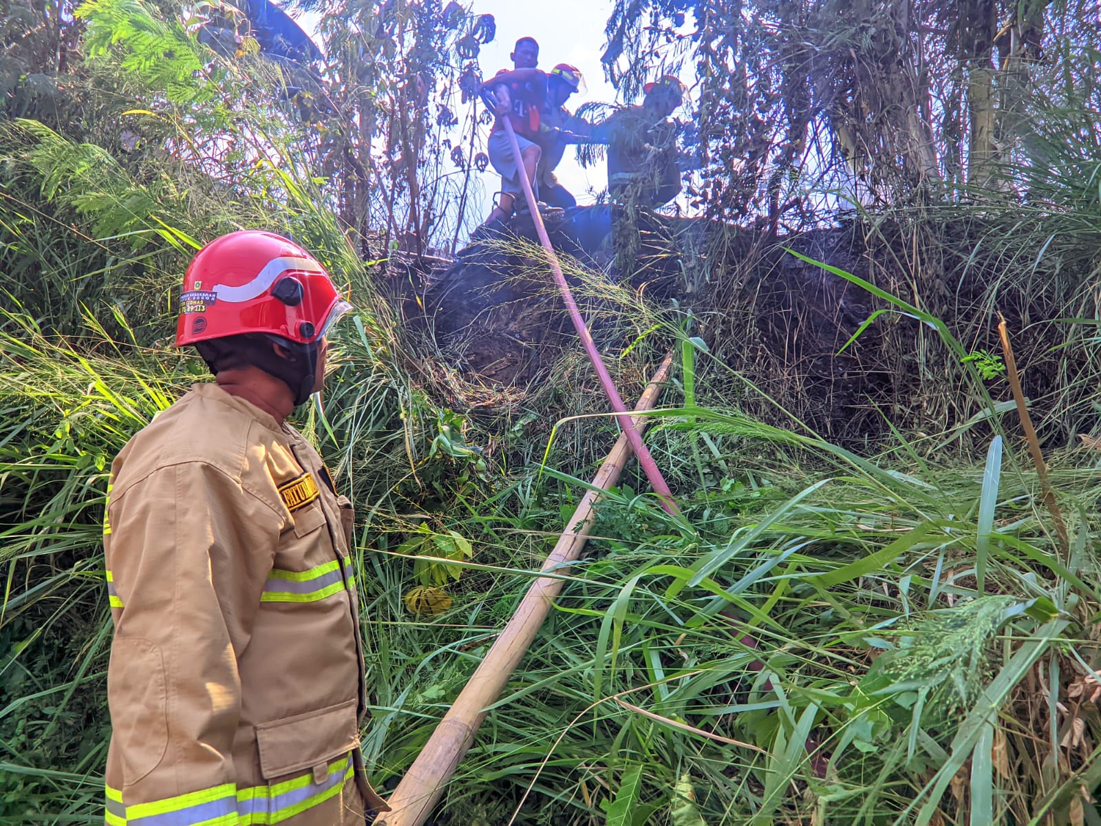Damkar Sektor Ciomas Bahu Membahu Padamkan Api di Lahan Bambu di Ciomas