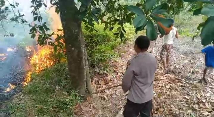 Dengan Peralatan Seadanya, Polsek Leuwiliang Padamkan Api di Kawasan lereng Perumahan Grandsutra Leuwiliang Dengan Peralatan Seadanya, Polsek Leuwiliang Padamkan Api di Kawasan lereng Perumahan Grandsutra Leuwiliang