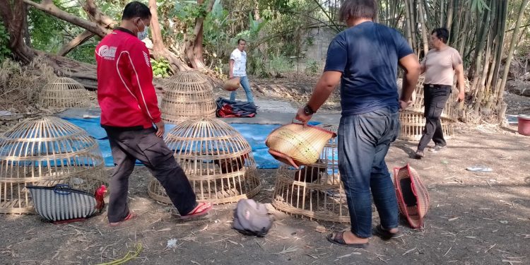 Polsek Balongbendo Meringkus Dan Bongkar Perjudian Sabung Ayam
