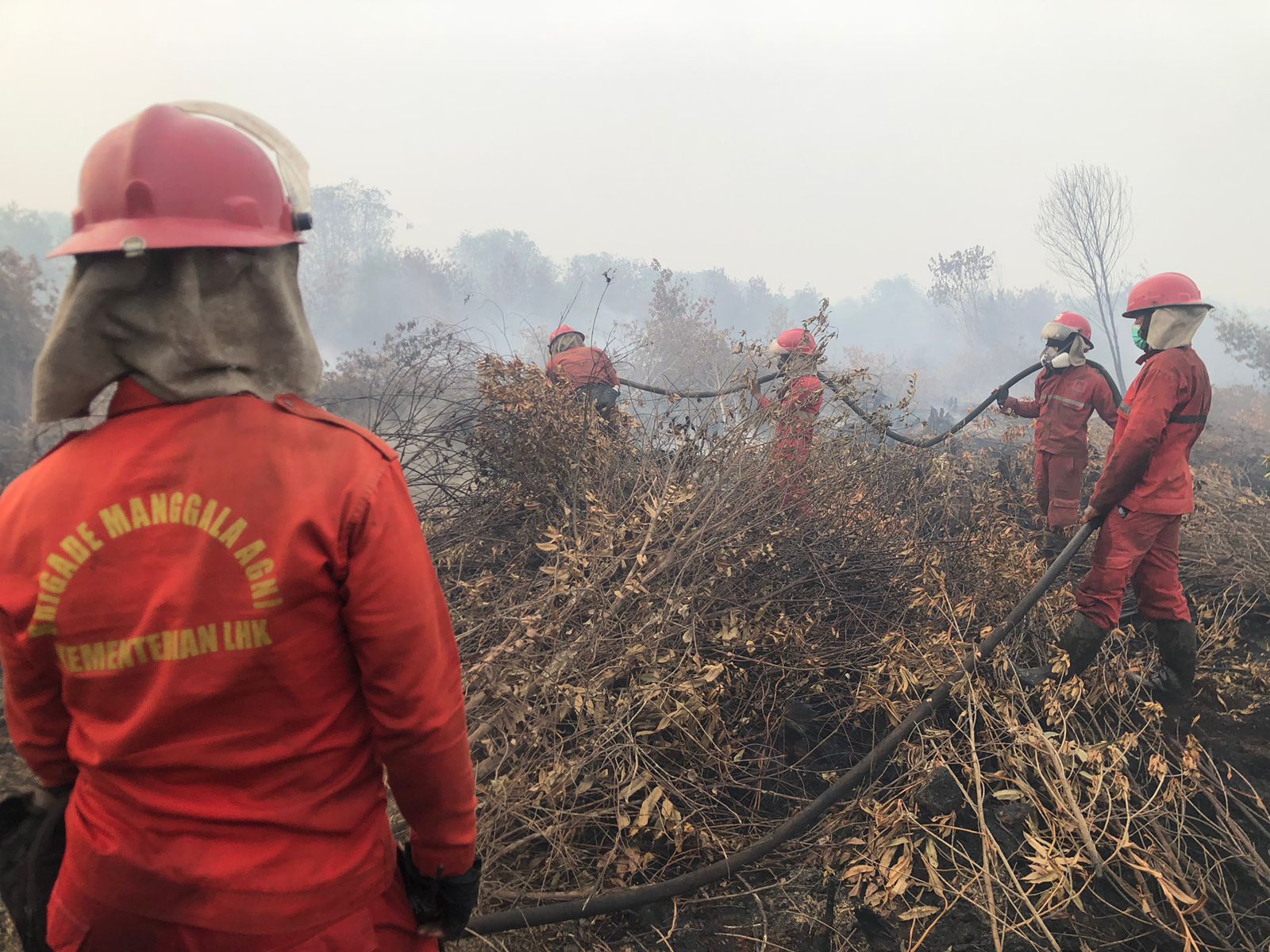 Manggala Agni Terus Berjuang Padamkan Empat Titik Karhutla di Sumsel